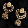 Gold-Toned Dome Shaped Jhumka